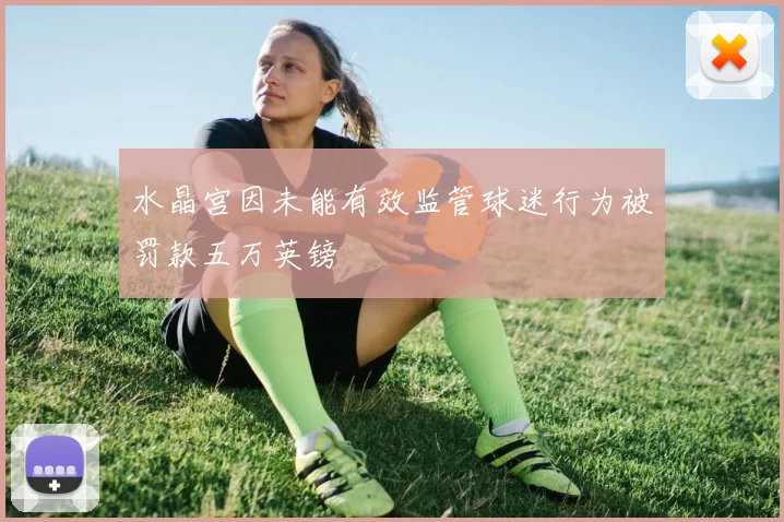 水晶宫因未能有效监管球迷行为被罚款五万英镑